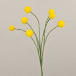 Künstliche Craspedia Globosa STEPHANOS, gelb, 60cm, Ø2,5-3cm