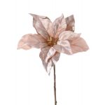 Samt Poinsettia SHEBA, beige-rosa, 55cm, Ø23cm