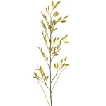 Plattährengras Zweig künstlich FUXIA mit Ähren, gelb-grün, 100cm