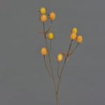 Deko Zweig Edeldistel LOUKAS, gelb-orange, 45cm, Ø1-1,5cm