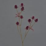 Deko Zweig Edeldistel LOUKAS, burgunderrot, 45cm, Ø1-1,5cm