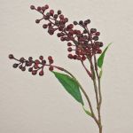 Künstlicher Zweig Holunderbeere TEITH mit Früchten, burgunderrot, 40cm