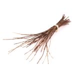 Kork Ästchen Bund KAUKO, natur, 40-70cm