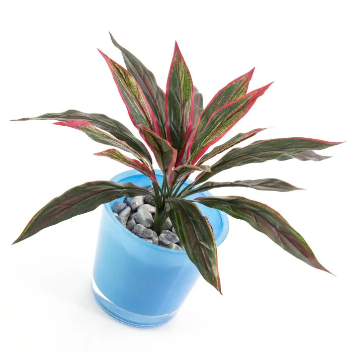 Knstlicher Drachenbaum LATOYA, grn-rot, 30cm