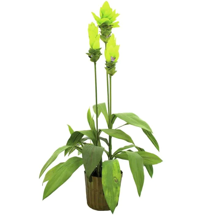 weihnachtsstern 60 cm Stern offwhite 60 cm – Super Nice main image 0