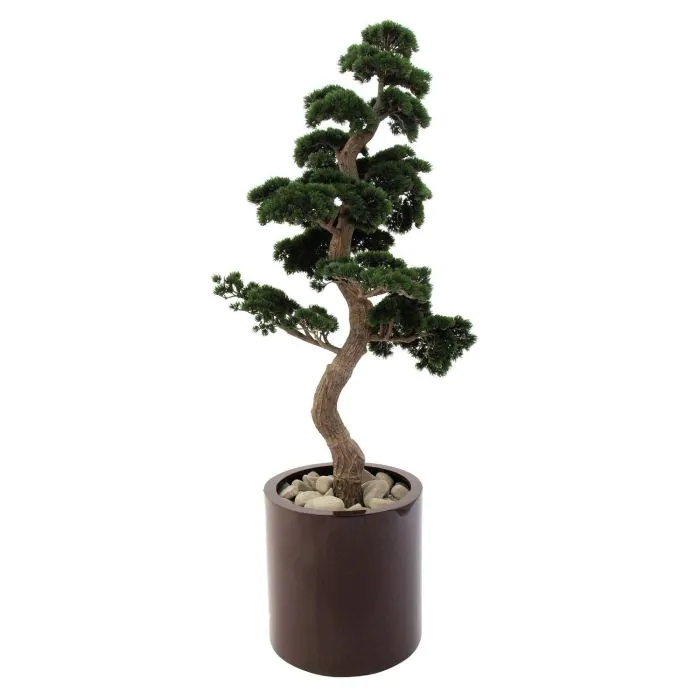 Kunstbaum Bonsai Pinie DOMENICO crossdoor 170cm