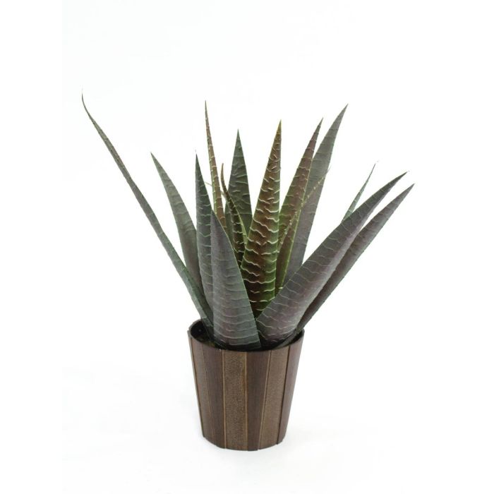 moisturizing cream aloe vera 80% Aloe Vera Cream