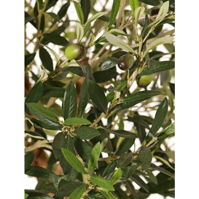 Olivenbaum knstlich GTZIS, Frchte, Echtstmme, 165cm