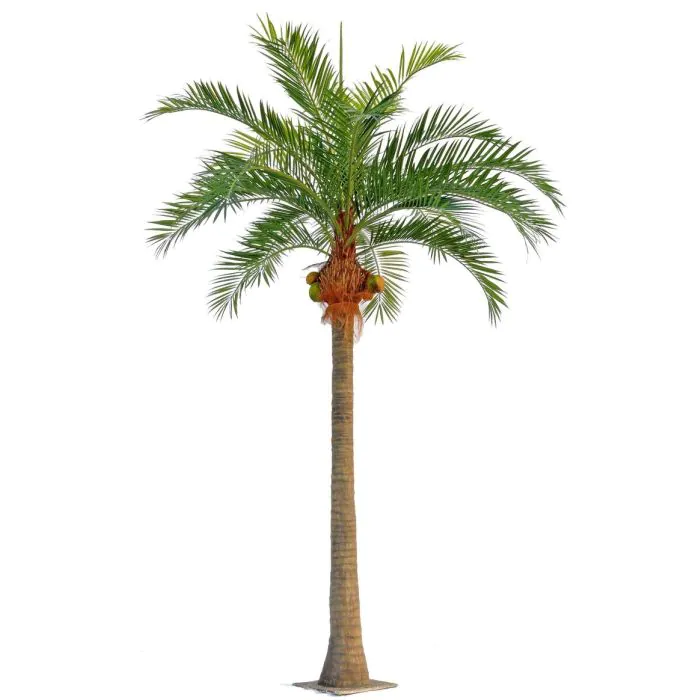 Kokospalme knstlich NARUN mit Kokosnssen, 570cm