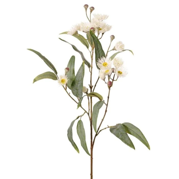 Eukalyptus Zweig knstlich WANARA mit Blten, wei, 100cm, 2-6cm