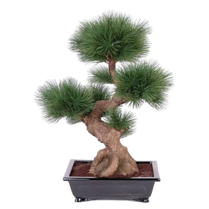 Kunstbaum Bonsai Pinie JIRANI in Schale, 75cm