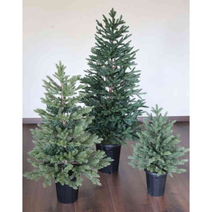 Knstlicher Christbaum KORBINIAN im Topf 120cm 65cm