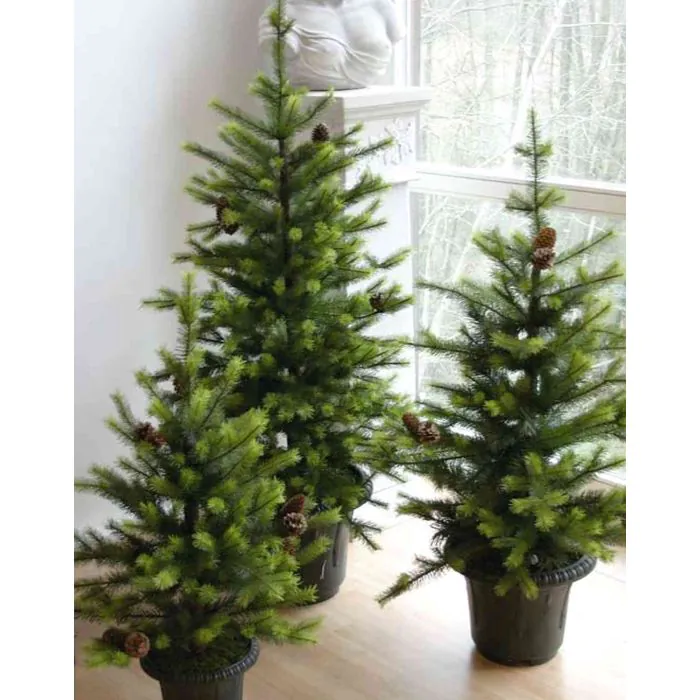 Kunsttanne MELCHIOR im Topf mit Tannenzapfen, 150cm