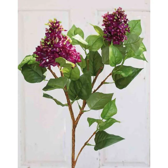 dnger topfpflanzen Purgrn Philodendron-Dnger 1 Liter