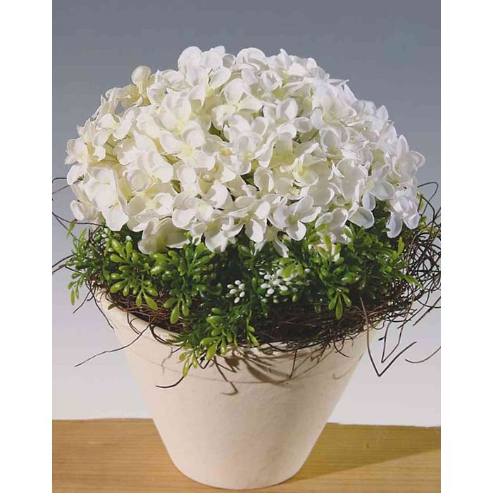 Deko Hortensien Sedum Gesteck CASSA, Dekotopf, weiß, 20cm