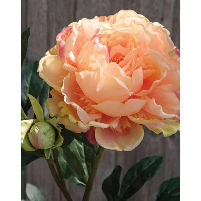 Kunst Pfingstrose MARA, orange-pink, 75cm, 13cm