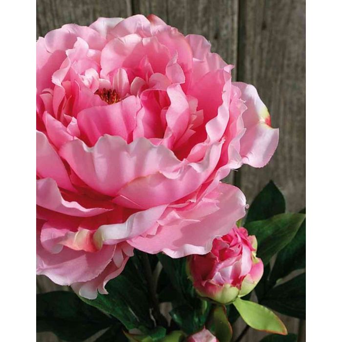 Knstliche Pfingstrose NADEEN, rosa, 75cm
