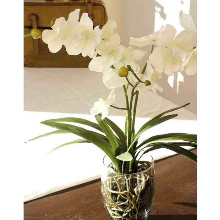 Künstliche Orchidee Vanda JIA in Glasvase, creme-weiß, 50cm