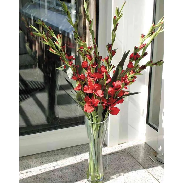 Knstliche Gladiolen MICHELLE, rot, 120cm