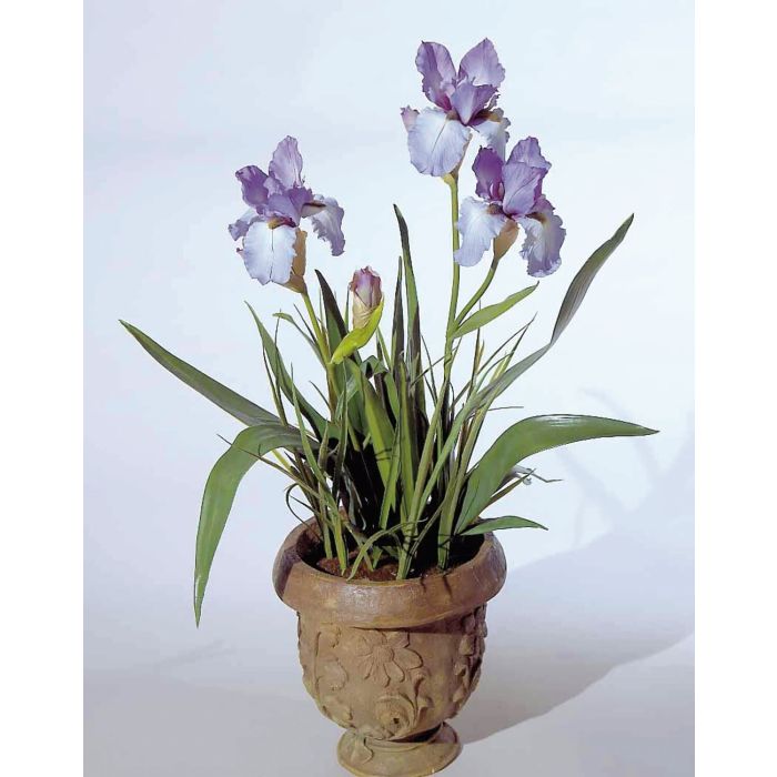 Knstliche Iris LALANI im Dekotopf, violett-blau, 100cm