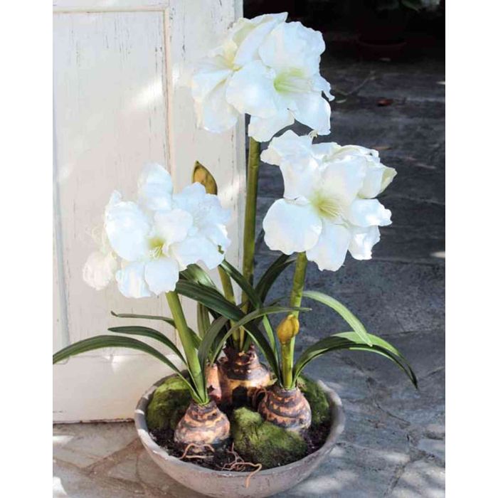 Kunstblume Amaryllis CALIDA wei 95cm 21cm