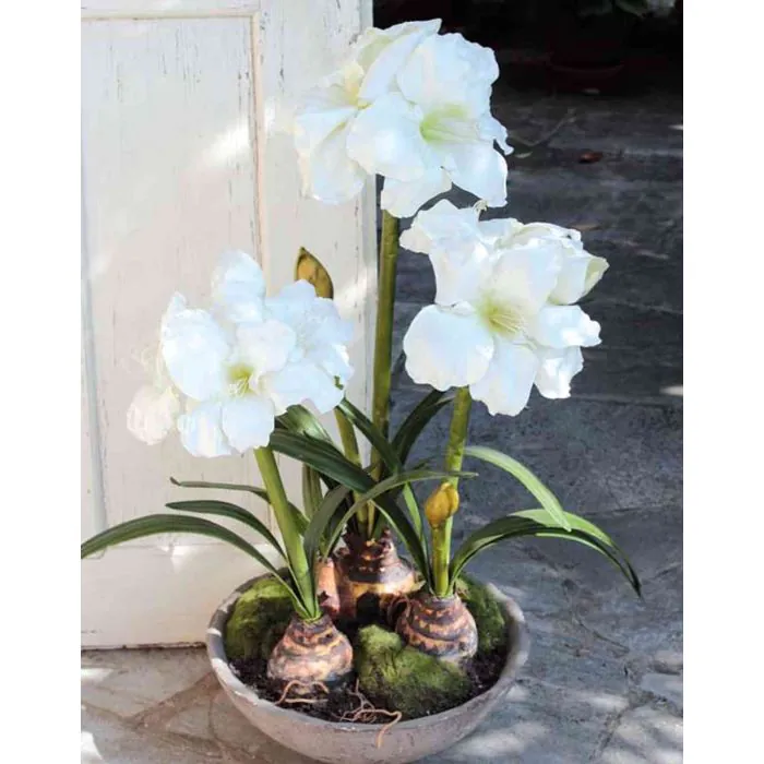 Kunstblume Amaryllis CALIDA weiß 95cm Ø21cm