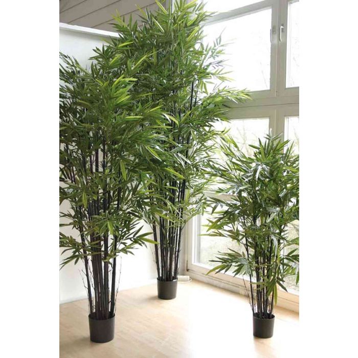 Knstlicher Schwarzer Bambus SAYURI, 155cm