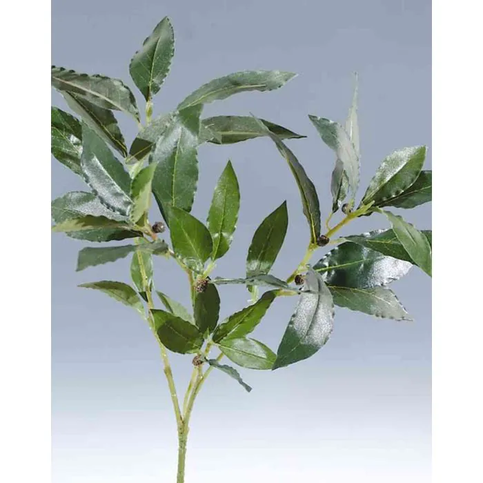 Knstlicher Kirschlorbeer Zweig SPIKY, 45cm