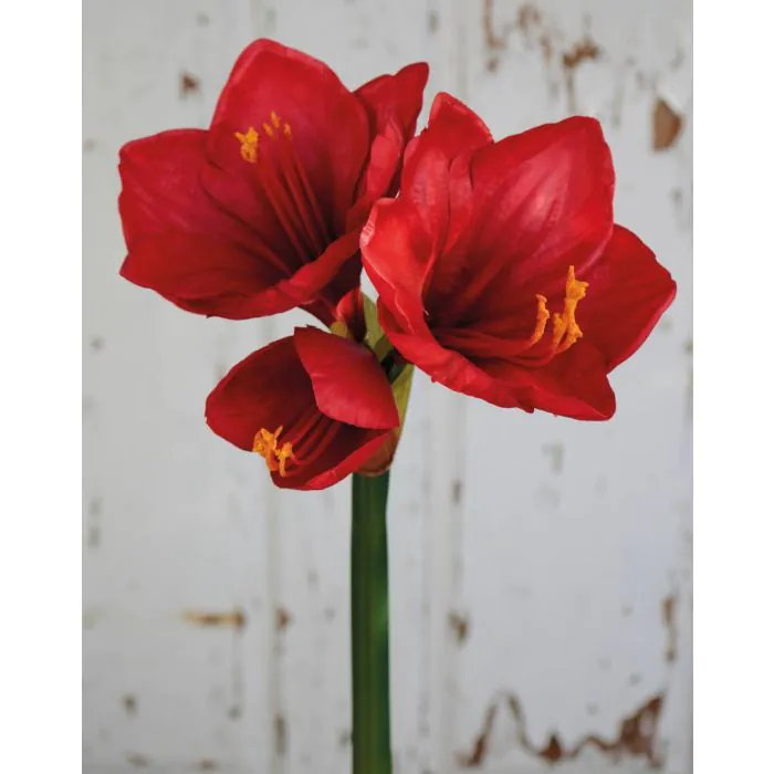 Knstliche Amaryllis YOLANTE, rot, 70cm, 6-13cm