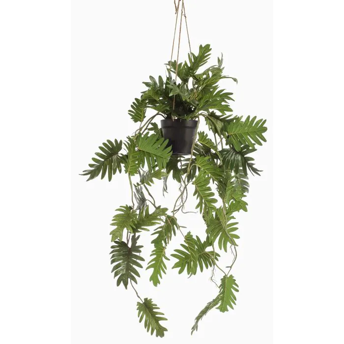 succulent spray Green Succulent Spray #132035G00 Minimum order of 6