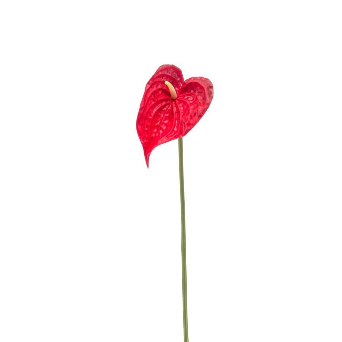 Knstliche Blume Anthurium XYLON, rot, 50cm, 9x12cm