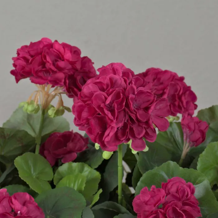 action balkon blumenkasten Pflanzkasten fr Gelnder | 55 cm