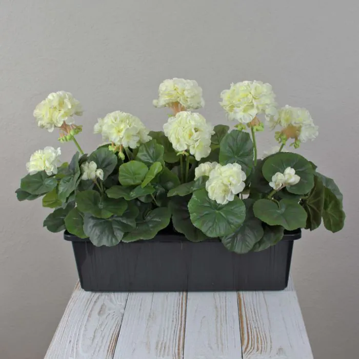 Künstliche Geranien FLOREANA im Blumenkasten, 3 Stück, weiß, 40x15x35cm