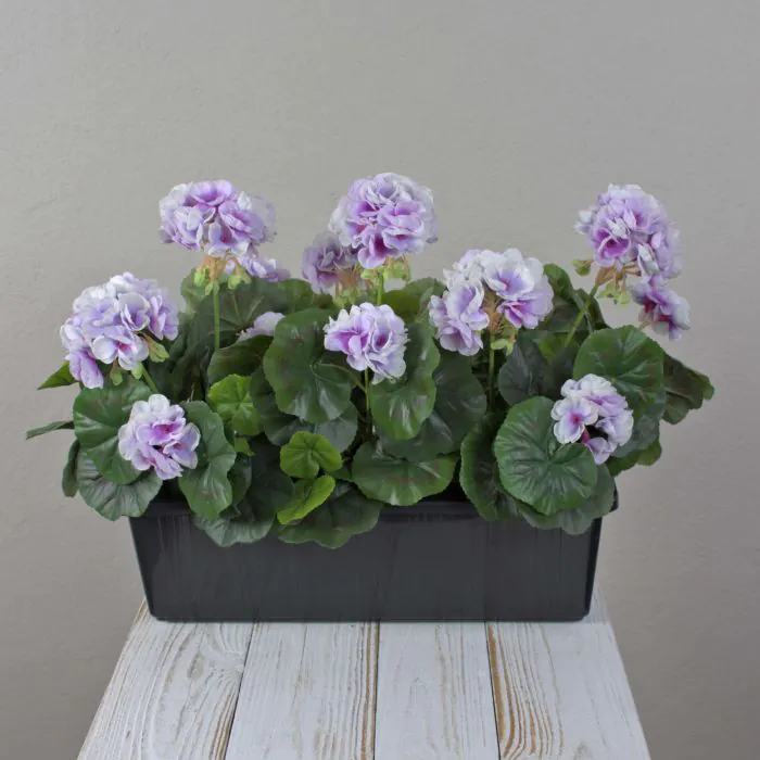 Künstliche Geranien FLOREANA im Blumenkasten, 3 Stück, lila-weiß, 40x15x35cm