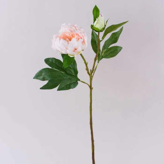 l küche modern Küchen Form online entdecken Wähle dein Motiv:Kirschen rosa