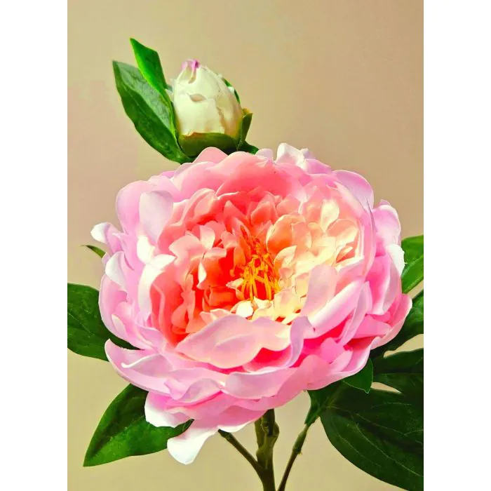 kreher pflanztöpfe XL Pflanzkübel / Pflanztopf „LIKE“ Ø 58 x H 51 cm - Anthrazit