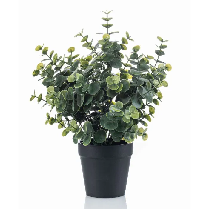 Eukalyptus künstlich GLIWEN im Dekotopf, grün-grau, 30cm