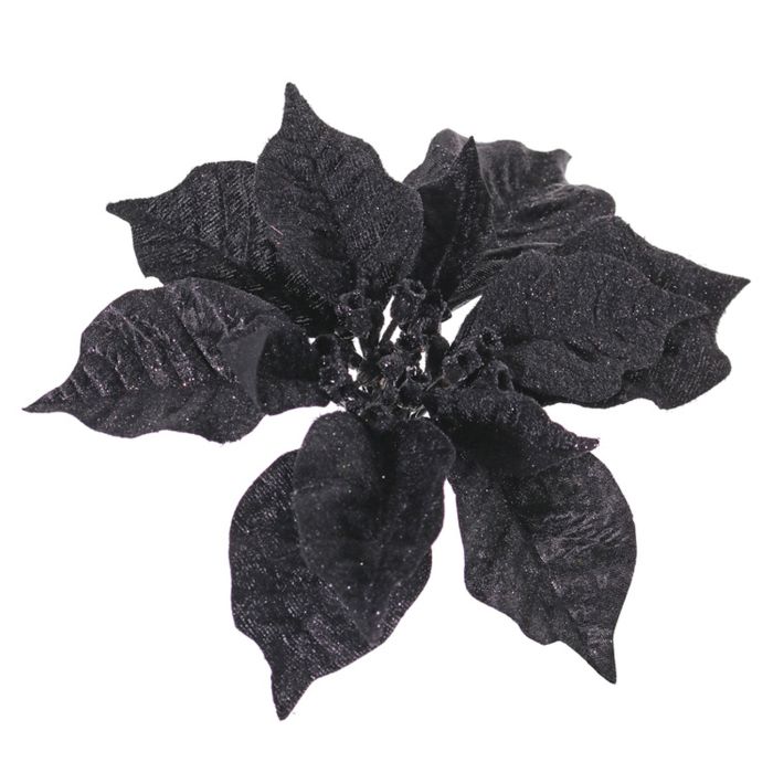 Samt Weihnachtsstern SPICA auf Clip, Glitzer, schwarz, 18cm