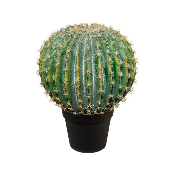 Knstlicher Kaktus Schwiegermuttersitz KLINTAN, Dekotopf, grn-gelb, 45cm,  35cm