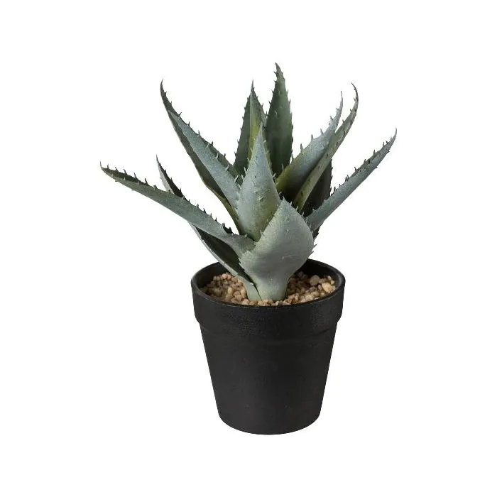 aloe vera gel best Goodcare Aloe Vera Gel - 300gm main image 1