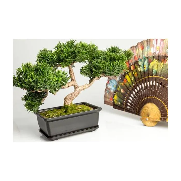 Kunst Bonsai Zeder ALESSA, in Pflanzschale, 23cm