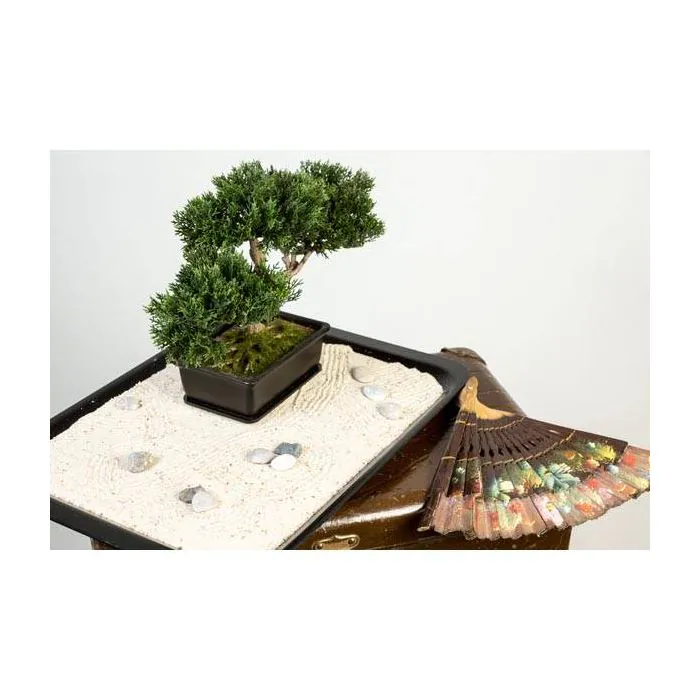 Kunst Bonsai Zeder ALESSA, in Pflanzschale, 23cm