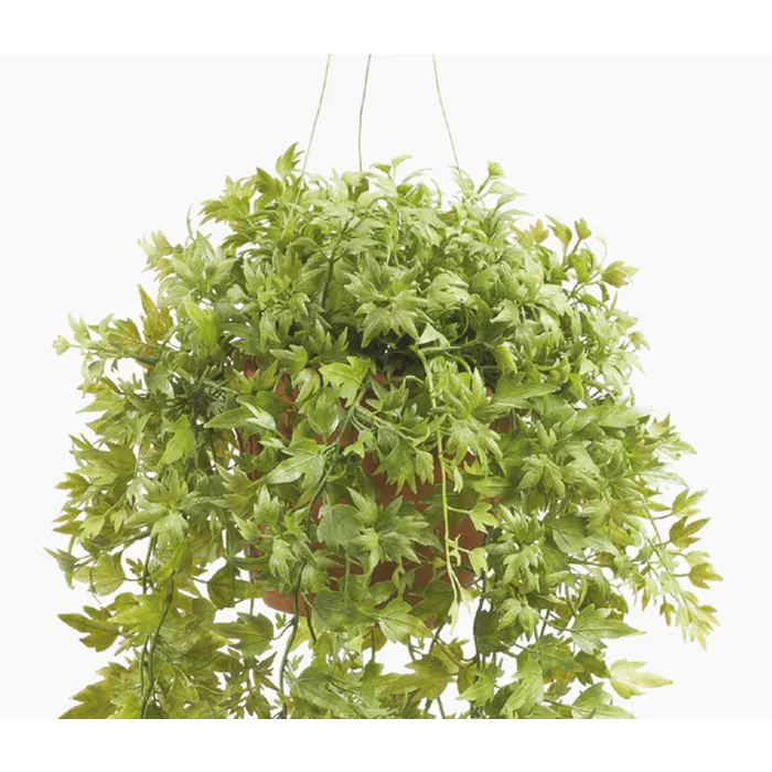 Knstlicher Efeu Blumenampel JOHANNA grn, 50cm