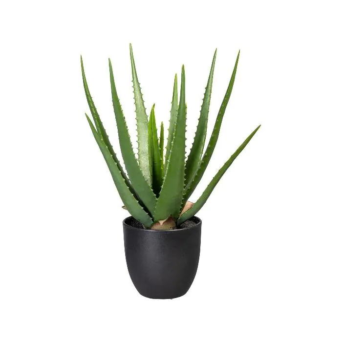 aloe vera und kokosl fr haare Flssiges Kokosl fr Haut & Haare