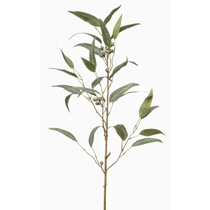 Kunstzweig Eukalyptus JURKA mit Früchten, grün-grau, 90cm