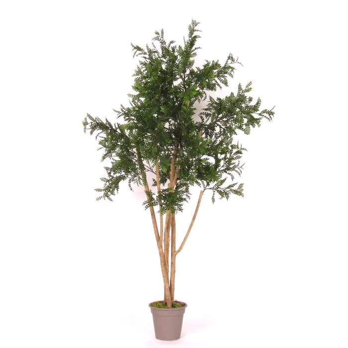 Knstliche Akazie ANDRIY mit Echtstmmen, crossdoor, grn, 150cm - Made in  Italy