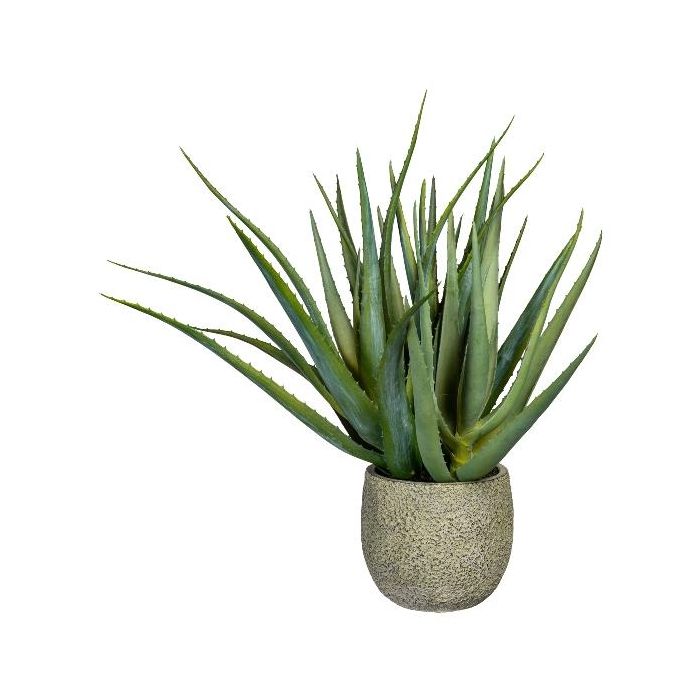 beste aloe vera produkte Aloe Vera Gel Price In Pakistan