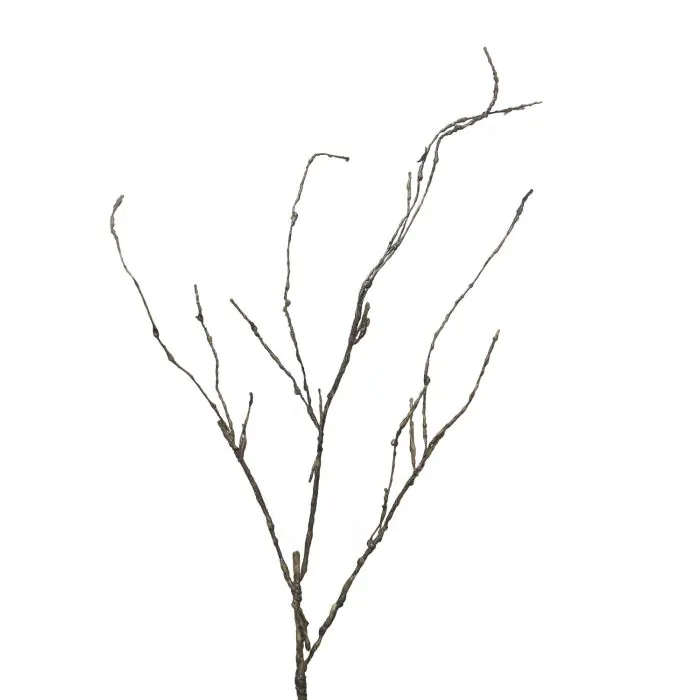 garten topfpflanzen – eine Übersicht Size:250ml