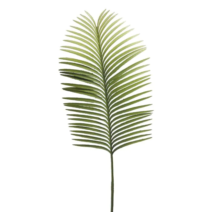 Deko Palmwedel Phönix ZIWEI, 105cm