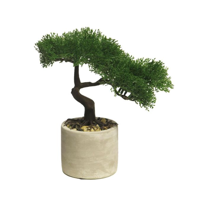 japanese cherry bonsai Japanese Cherry Blossom Bonsai Tree main image 0